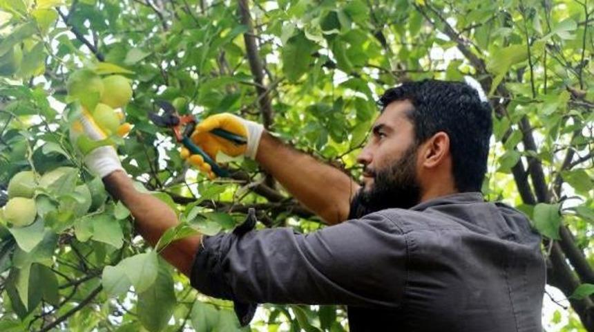 Yetiştirdikleri Organik &Uuml;r&uuml;nleri Internetten Satıyorlar