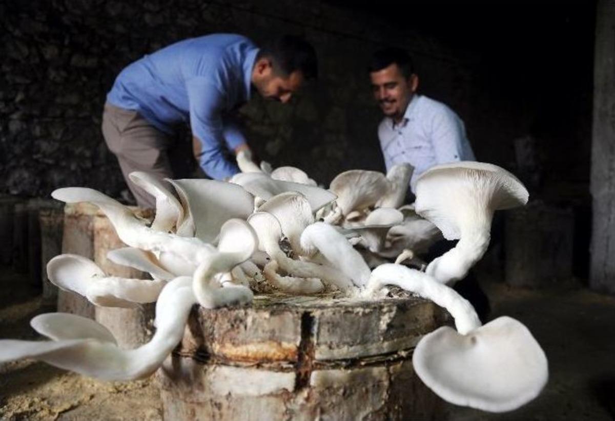 (&ouml;zel Haber) G&uuml;nde 15 Dakika Ayırıp Yılda 30 Bin Lira Kazanacaklar