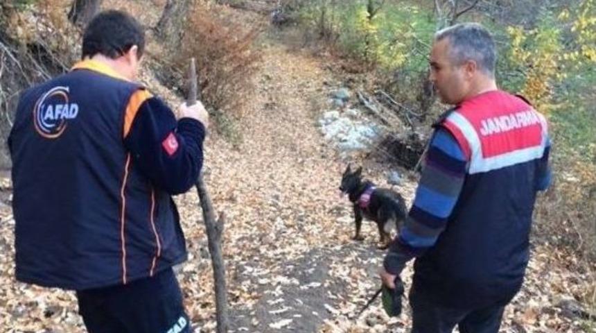 Niksar&rsquo;da Kaybolan Alzheimer Hastası 13 G&uuml;nd&uuml;r Aranıyor