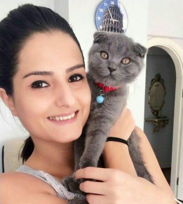 Entelektüel Kedi Günde 5 Saat Belgesel İzliyor