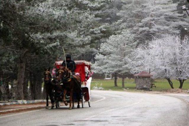 Abant'ta Kar Güzelliği