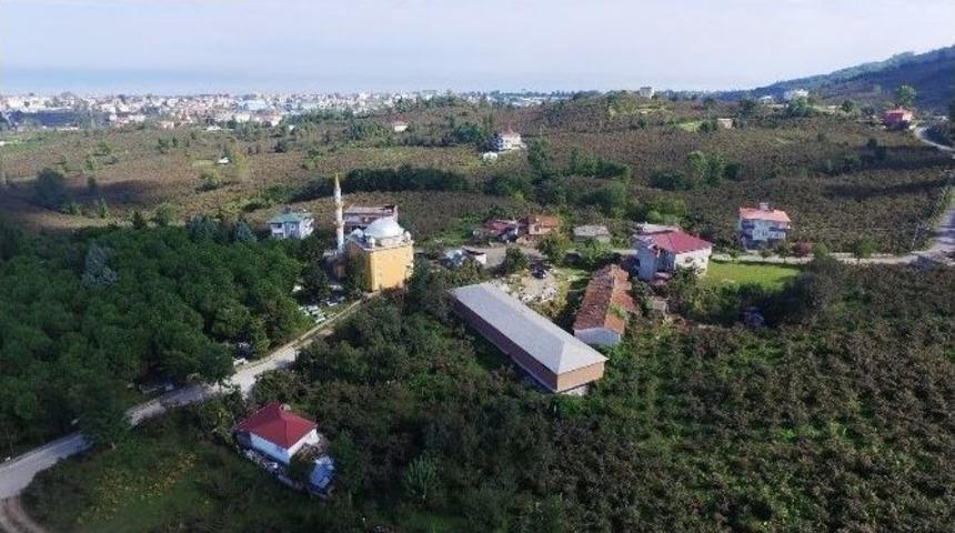 Altınordu Belediyesi&rsquo;nden Milyonluk Tesis