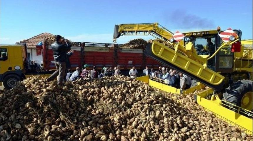 Mauslar Sayesinde Yılda 150 Dekar Arazi Tarıma Yeniden Kazandırılıyor