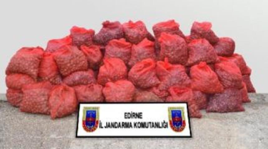 1.5 Ton Ka&ccedil;ak Midyeye 4 Bin 500 Lira Ceza