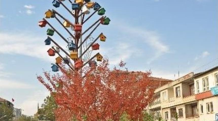 Belediyeden Kuşlara Yuva