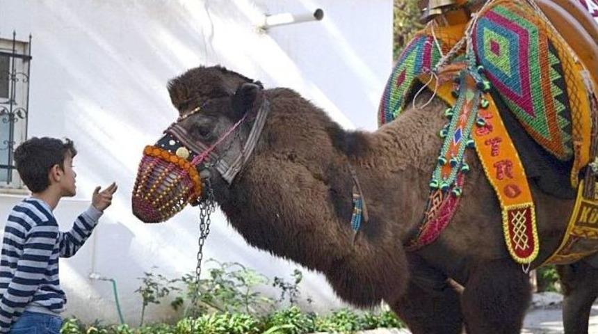 Edremit&rsquo;te Mystro&rsquo;ya Havut Hayrı