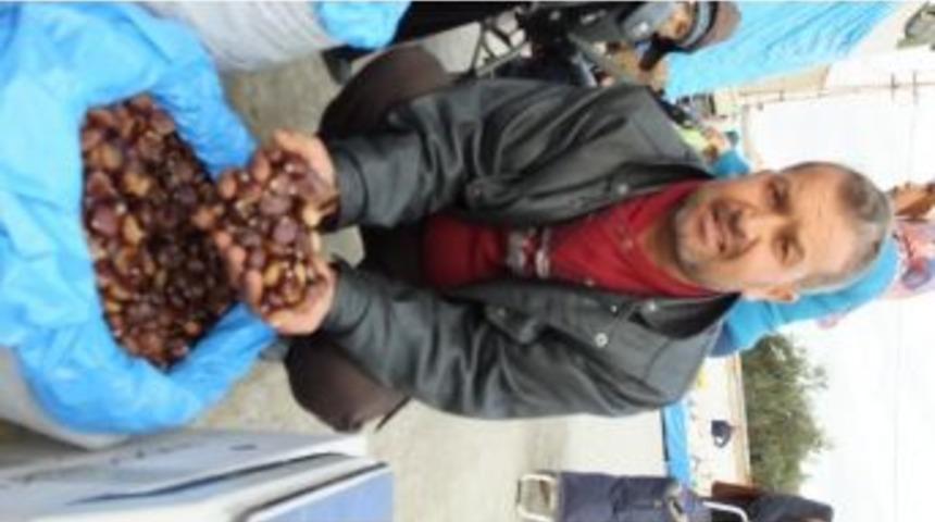 G&uuml;meli Kestanesi Rağbet G&ouml;r&uuml;yor