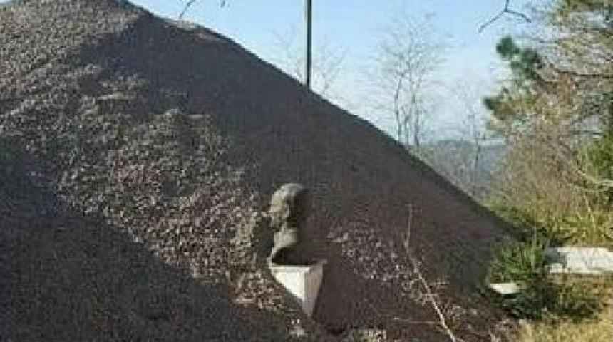 Atat&uuml;rk B&uuml;st&uuml; Kaidesi &Uuml;zerine &Ccedil;akıl D&ouml;k&uuml;lmesi Tepki G&ouml;rd&uuml;