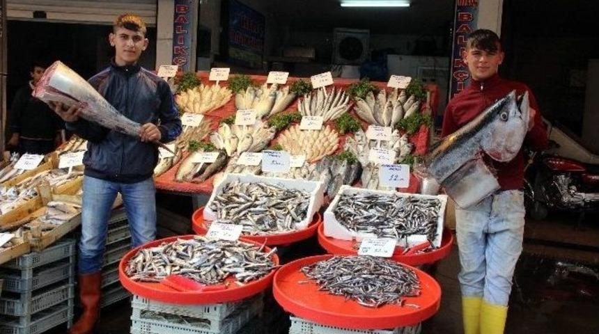 Balık&ccedil;ıların Umudu Kara Kışa Kaldı