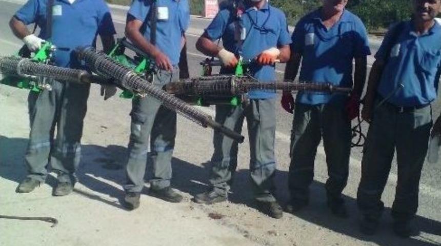 Manavgat&rsquo;ta Sinekle M&uuml;cadele &Ccedil;alışmaları