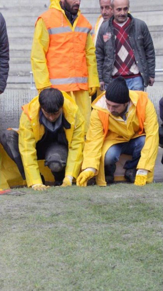 Samsun un Yeni Stadına &Ccedil;im Serme Işlemi Başladı 1