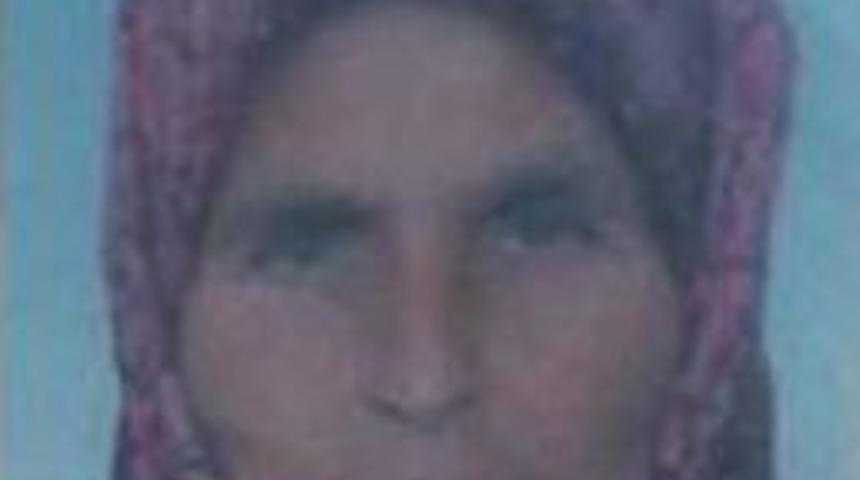 Ahırda Intihar Etti