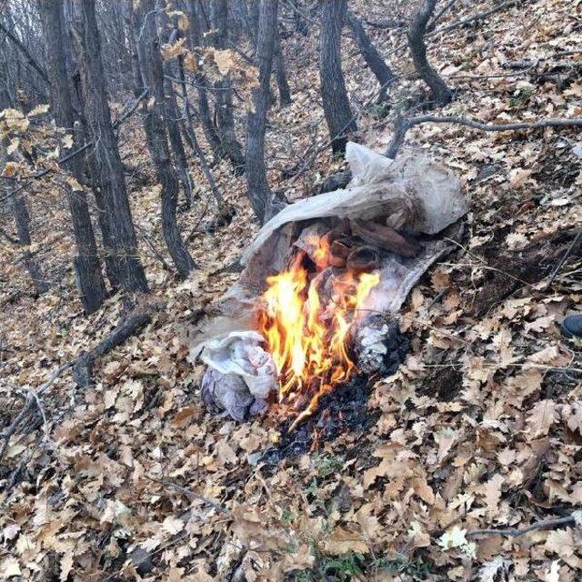 Bingöl'de Pkk Sığınağı Bulundu