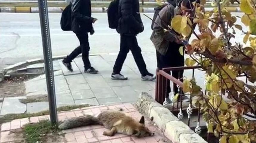 Paland&ouml;ken Il&ccedil;e Merkezine Inen Tilkiye Otomobil &Ccedil;arptı