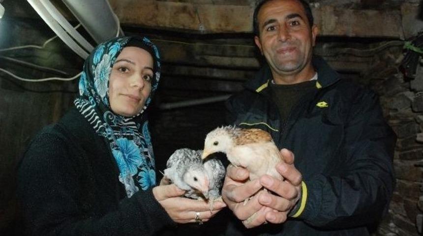 (&ouml;zel) Tanesini 10 Tl&rsquo;den Sattığı Yumurtalarla Servet Kazandı