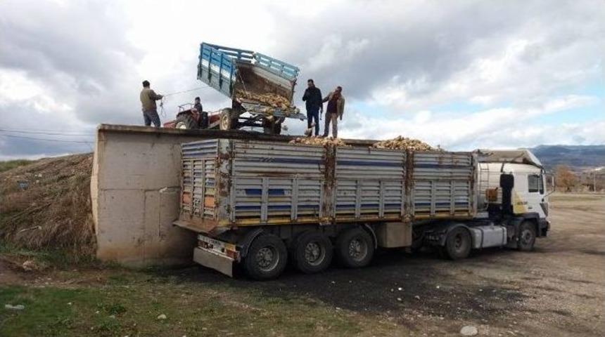 Hisarcık&rsquo;ta Şeker Pancarı &Uuml;retiminde D&uuml;ş&uuml;ş