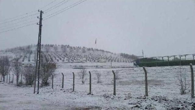 Ordu'nun Yaylalarına Kar Yağdı