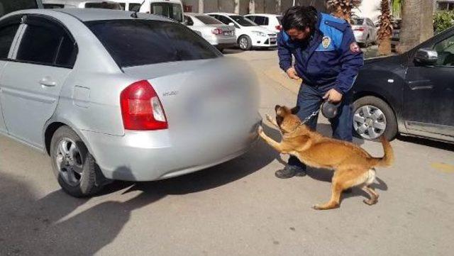 Polis Kontrolünden Kaçan Otomobilde 32 Kilo Esrar Ele Geçti