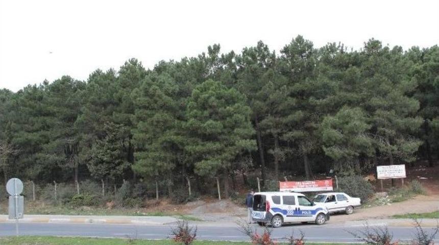 Kartal&rsquo;da Polis Ormanlık Alanda Operasyon D&uuml;zenliyor