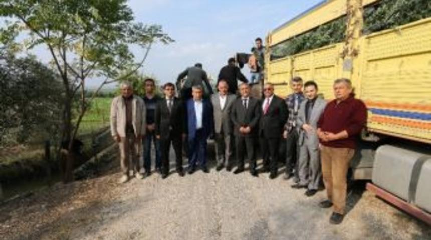Osmaniye&rsquo;de "zeytinle Yeşeren Umutlar" Projesi