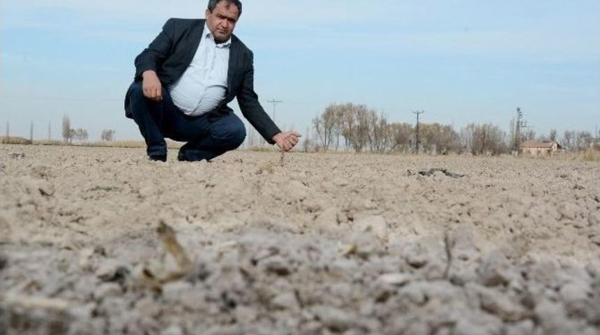 (&ouml;zel Haber) Aksaray&rsquo;da Kuraklık &Ccedil;anları &Ccedil;almaya Başladı