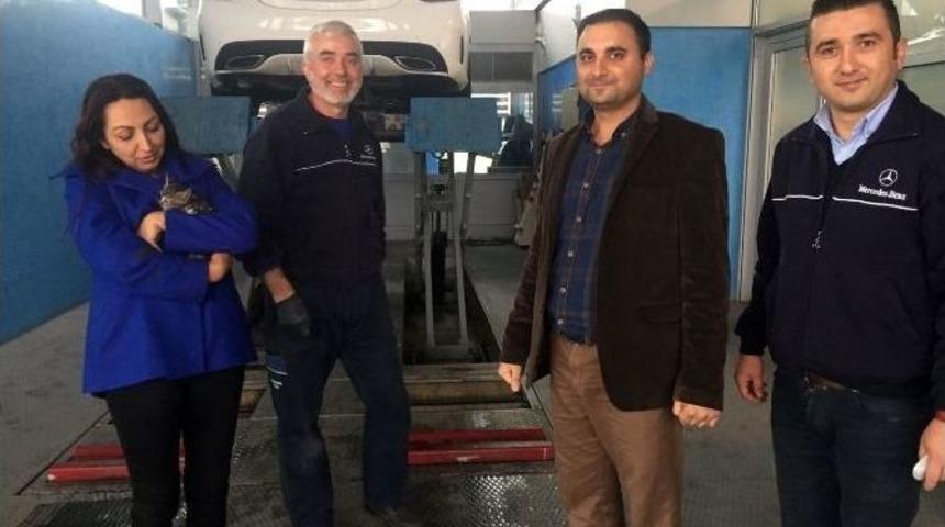 (&ouml;zel Haber) Otomobilde Sıkışan Kedi İ&ccedil;in Ankara&rsquo;daki İşlerini İptal Ettiler