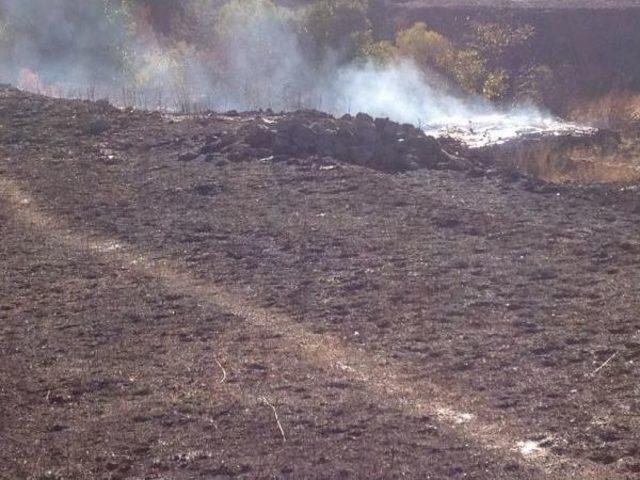 Hakkari Kırsalında Pkk'ya Ait Kaçak Sigaralar Yakalandı