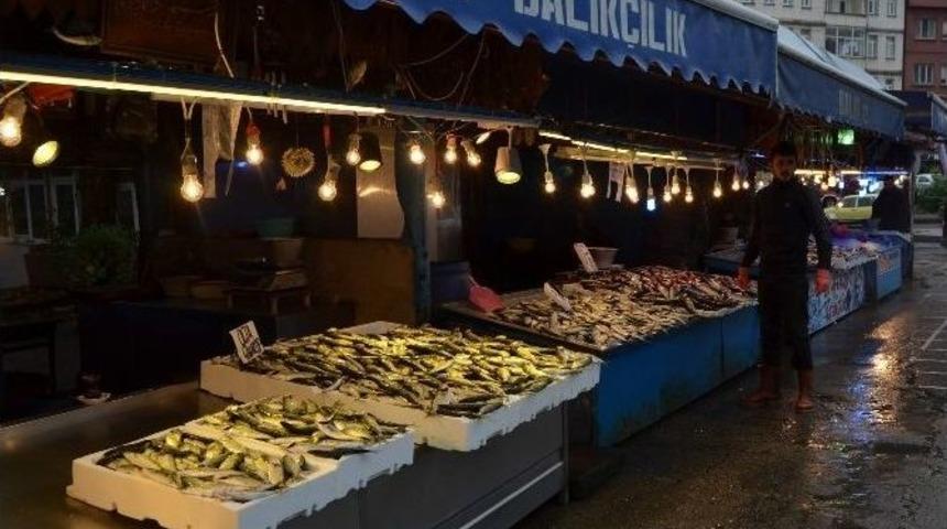 Hamside Umut "azak Hamsisi"