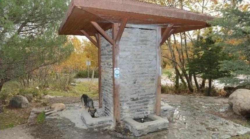 Yıldırım&rsquo;da Sokak Hayvanları A&ccedil; Değil