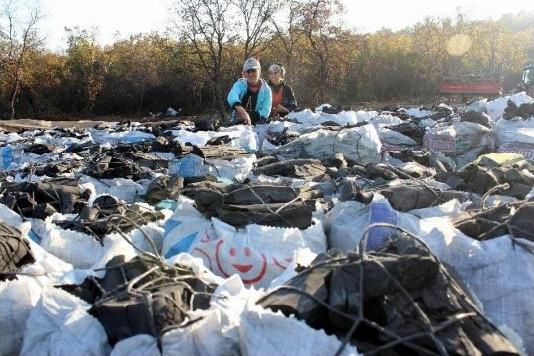 (&ouml;zel Haber) Odun K&ouml;m&uuml;r&uuml;ne Bağladıkları Umutları Onları Mardin&rsquo;den Tekirdağ&rsquo;a Getirdi