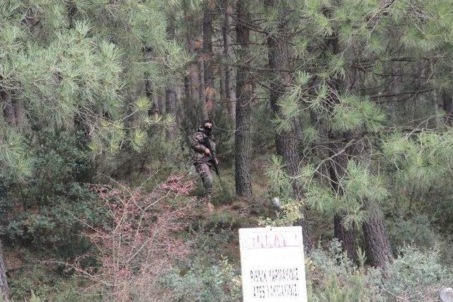 Kartal Ve Sultangazi’de Ormanlık Alanda Polis Uygulaması