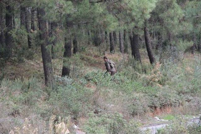 Kartal Ve Sultangazi’de Ormanlık Alanda Polis Uygulaması