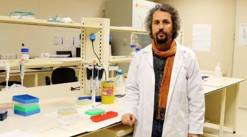 T&uuml;rkiye'deki 5 Kuş Cinsinin 54 Farklı T&uuml;r&uuml; Tespit Edildi