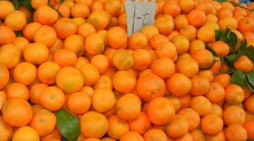 Mandalina &Uuml;reticileri Dert K&uuml;p&uuml;