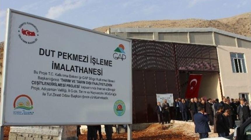 Dut Pekmezi İşleme İmalathanesi Tut İl&ccedil;esine Ekonomik Girdi Sağlayacak