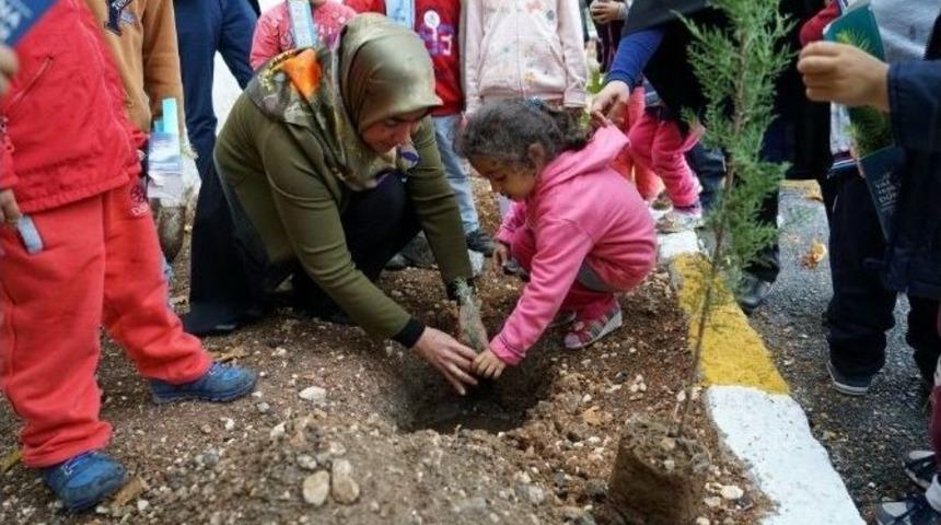 Okul Bah&ccedil;esine Fidanlar Dikildi