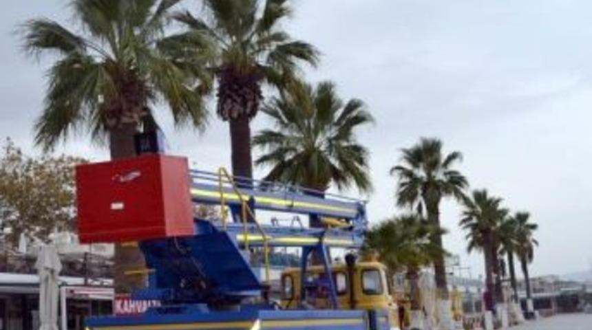 Edremit&rsquo;te Ağa&ccedil;lar Kuaf&ouml;rden &Ccedil;ıktı