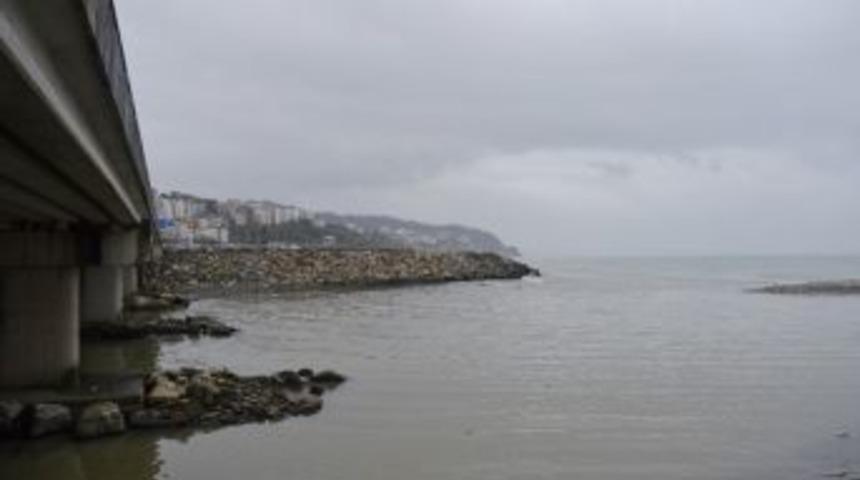 Başkan Tekin: "alaplı &Ccedil;ayı&rsquo;nın Karadeniz&rsquo;e Bağlantılı Olduğu Alan Moloz Taşlarıyla Doldu, Acilen &Ouml;nlem Alınmalı"