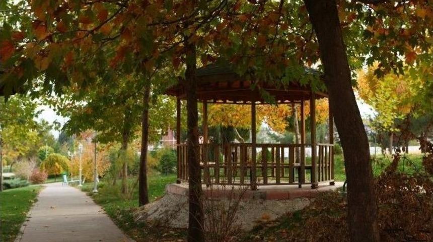 &Uuml;niversitede 28 Bin 64 Ağa&ccedil; Boy G&ouml;steriyor