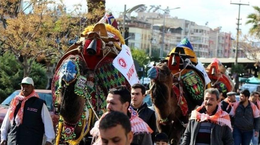 G&uuml;reş&ccedil;i Develer Şehir Turu Attı
