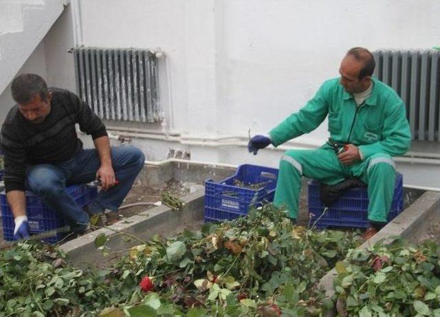 Belediye Bahar Ayları İçin Çalışmalara Başladı