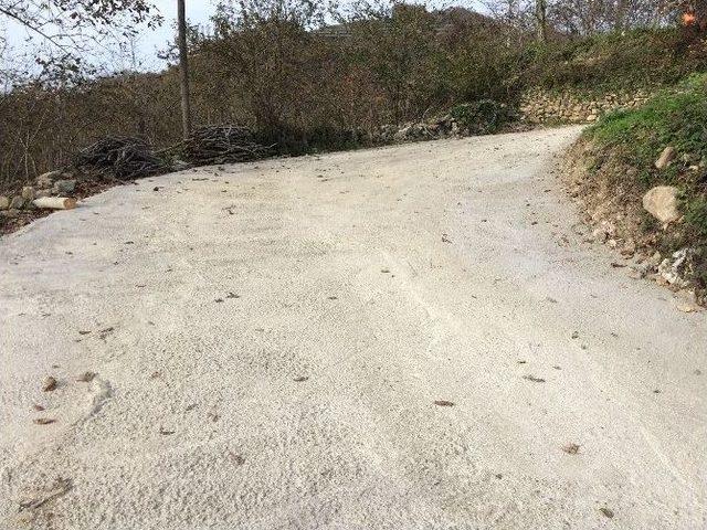 Fatsa Belediyesi’nden Kırsalda Yol Çalışması