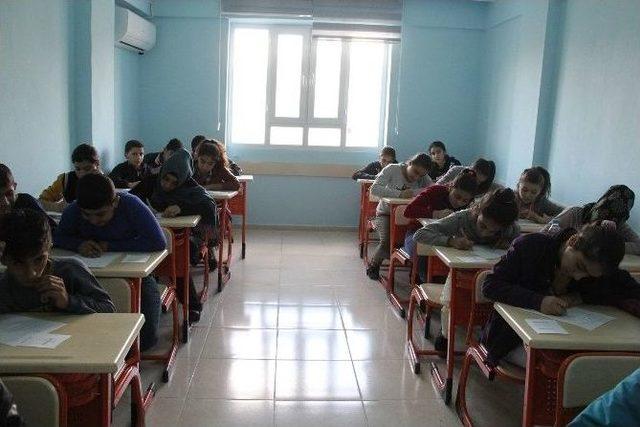 Eyyübiye Belediyesi Öğrencileri Teog’a Hazırlıyor