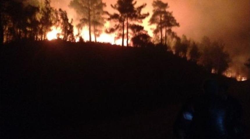 Oymapınar&rsquo;da Orman Yangını