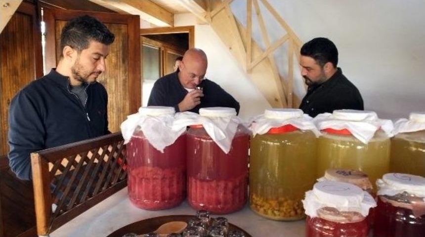 Ağa&ccedil; Fı&ccedil;ılarda Geleneksel Sirke D&ouml;nemi