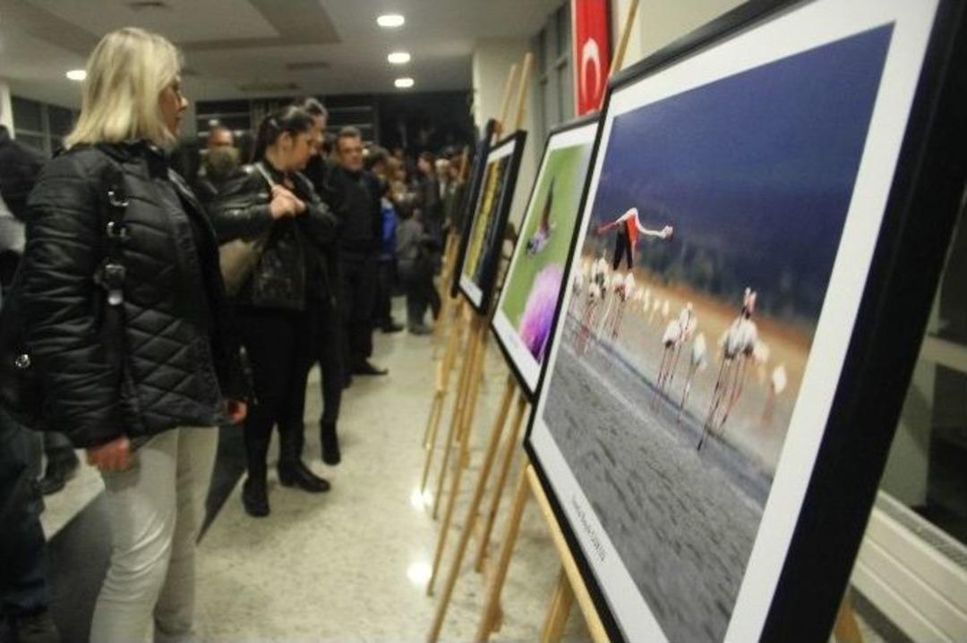 &lsquo;ışığın İzi&rsquo; Sergisine İlgi