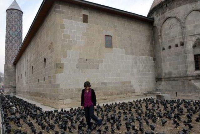 Erzurum'da Güller Poşete Girdi