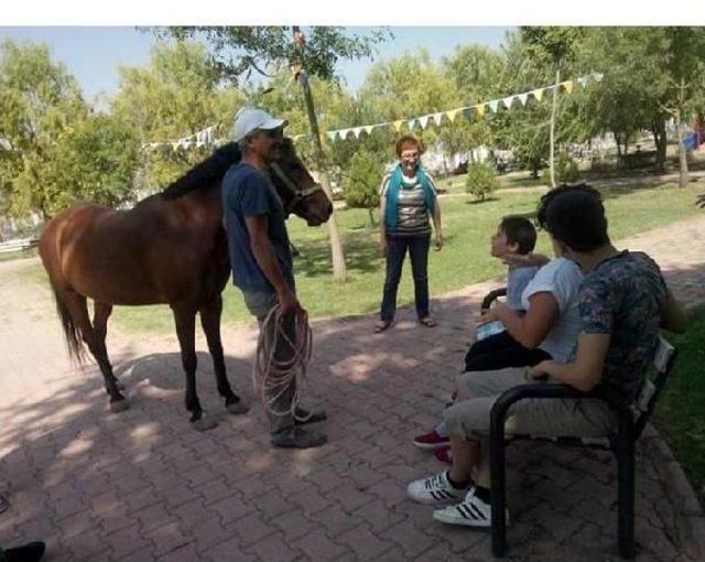 Otistik Çocukların Terapi Atı 'hazal'ı Hırsızlar Çaldı