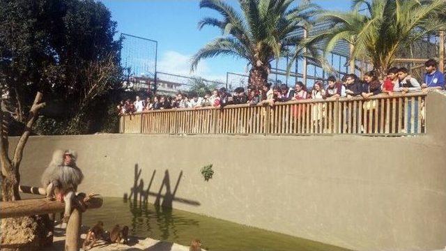 Beyoğlulu Öğrenciler Darıca Hayvanat Bahçesi’ni Gezdi