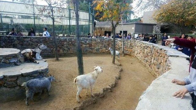 Beyoğlulu Öğrenciler Darıca Hayvanat Bahçesi’ni Gezdi